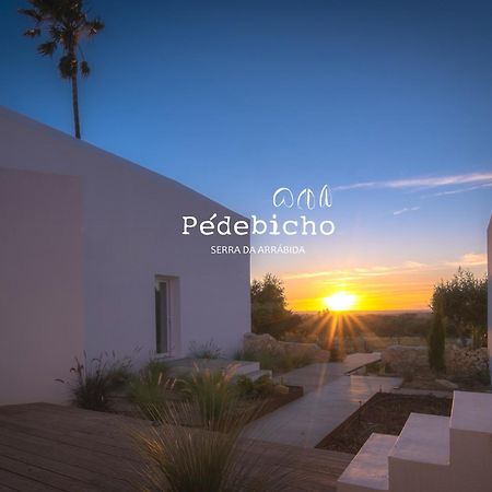 Pedebicho Serra Da Arrabida Country Inn And Studios Azeitao Ngoại thất bức ảnh